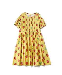 strawberry field sheer dress