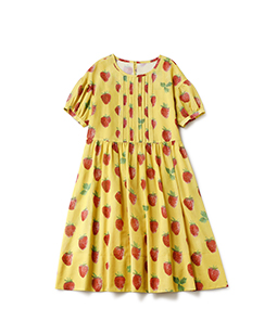 Strawberry field sheer dress