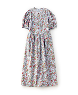 Rambling rose tulle lace collar dress