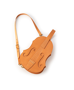 Violin bag