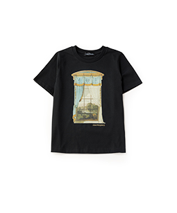 Drawing room curtain T-shirt