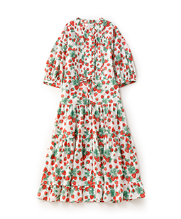 Strawberry garden tiered dress