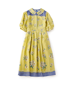 Miss Daisy colette dress