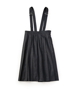 Churchill stripe dormitory skirt