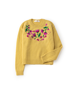 Thistle embroidery sweater
