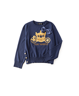 Royal coach embroidery sweater