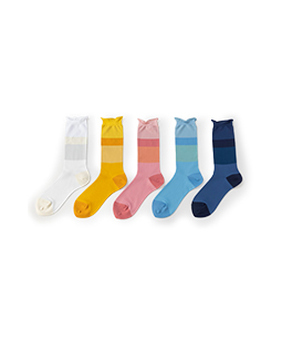 Color palette crew socks