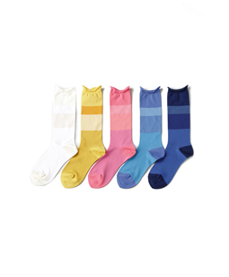 Color palette crew socks