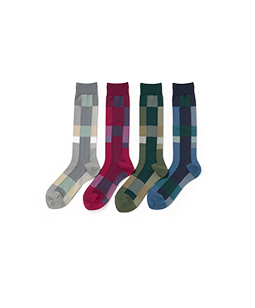 Color palette crew socks