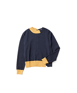 Cotton cashmere bicolor sweater