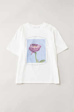 Wonder rose T-shirt